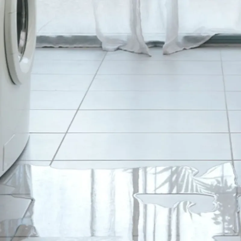 Appliance Leak Cleanup in Bath County, VA