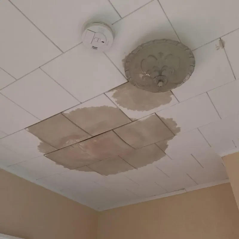 Ceiling Water Damage Repair in Bath County, VA