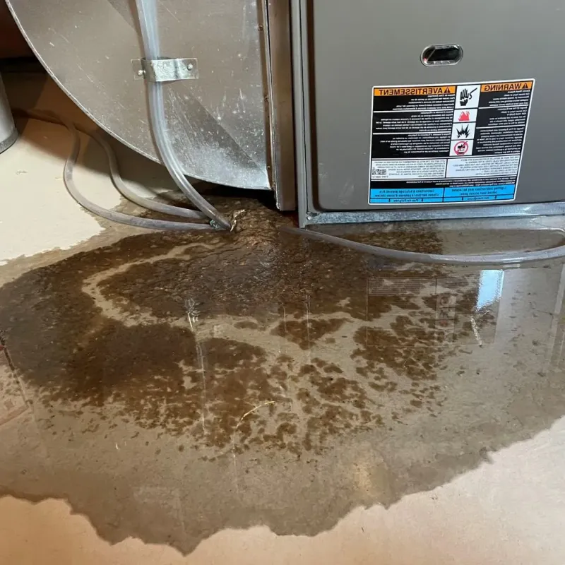 Pipe Burst and Leak Restoration in Bath County, VA