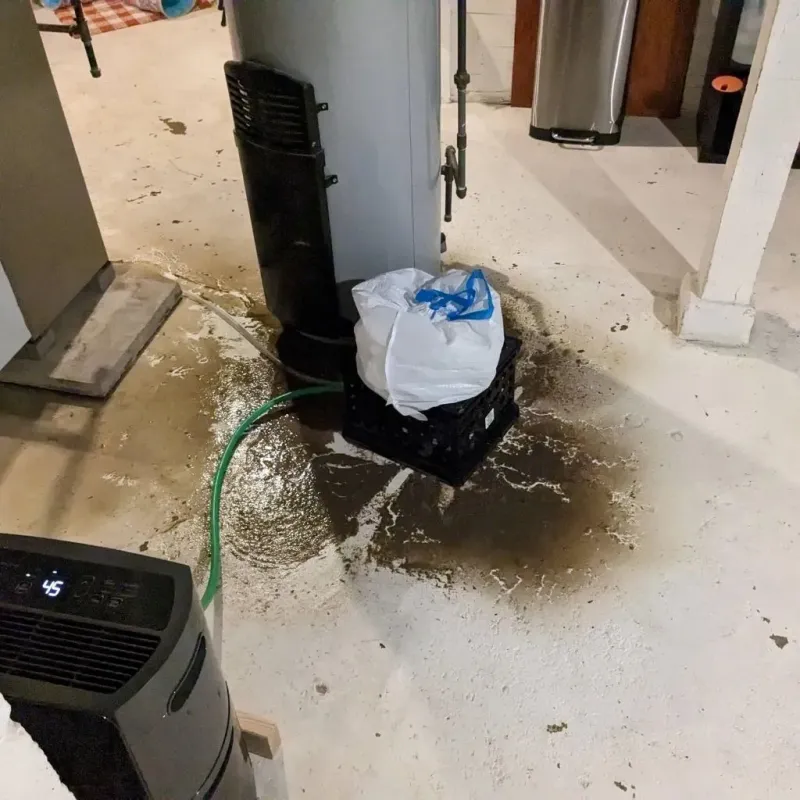 Sewage Backup Cleanup Service in Bath County, VA